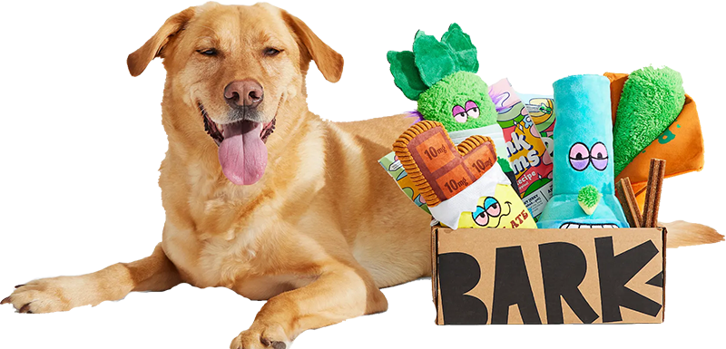 Snacks